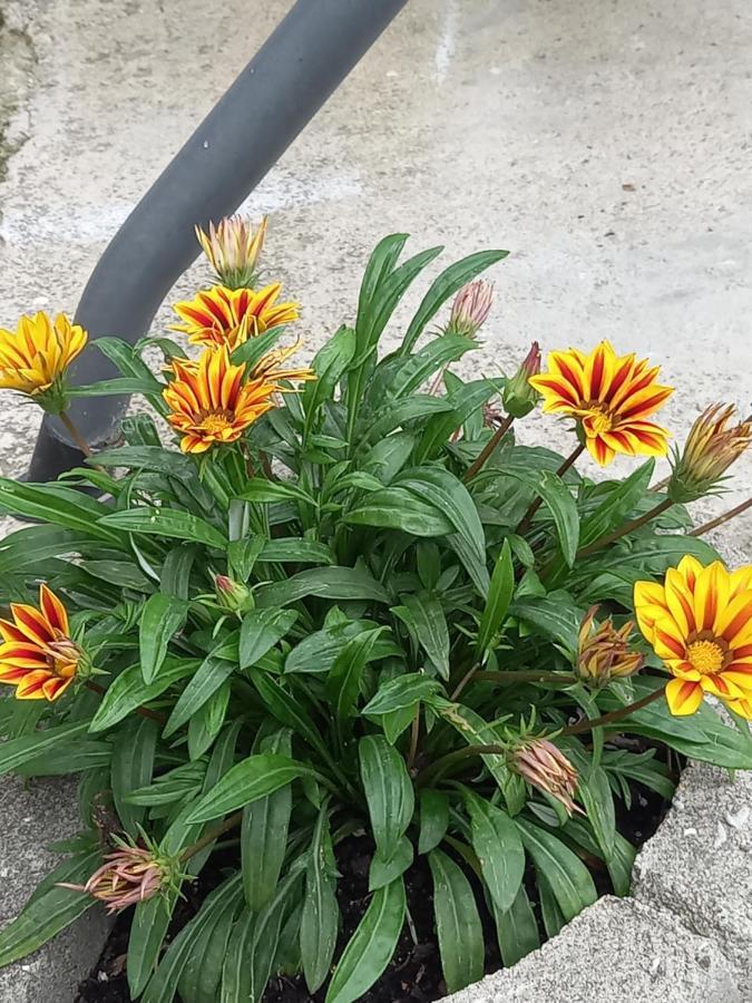 Iva Apartmani Jajce Exterior foto